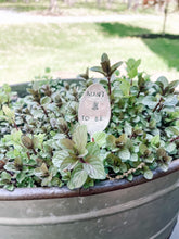 Load image into Gallery viewer, Mint To Be Herb Stake